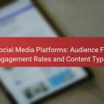 Social Media Platforms: Audience Fit, Engagement Rates and Content Types