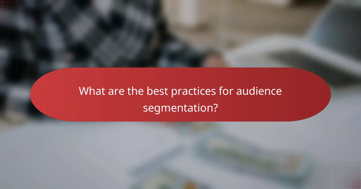 What are the best practices for audience segmentation?