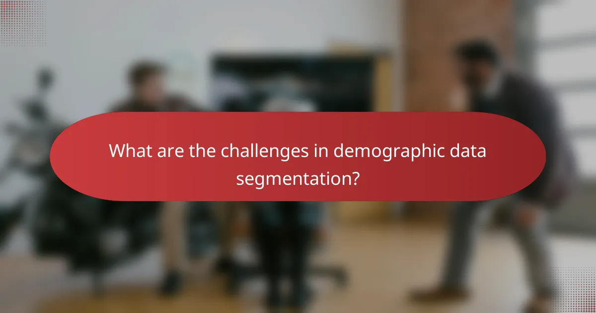 What are the challenges in demographic data segmentation?
