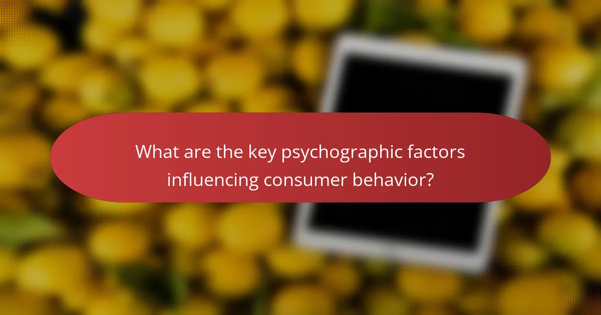 What are the key psychographic factors influencing consumer behavior?